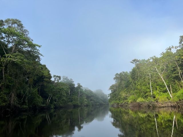 Asier Garcia Ruiz's photo of a rainforest in Peru
