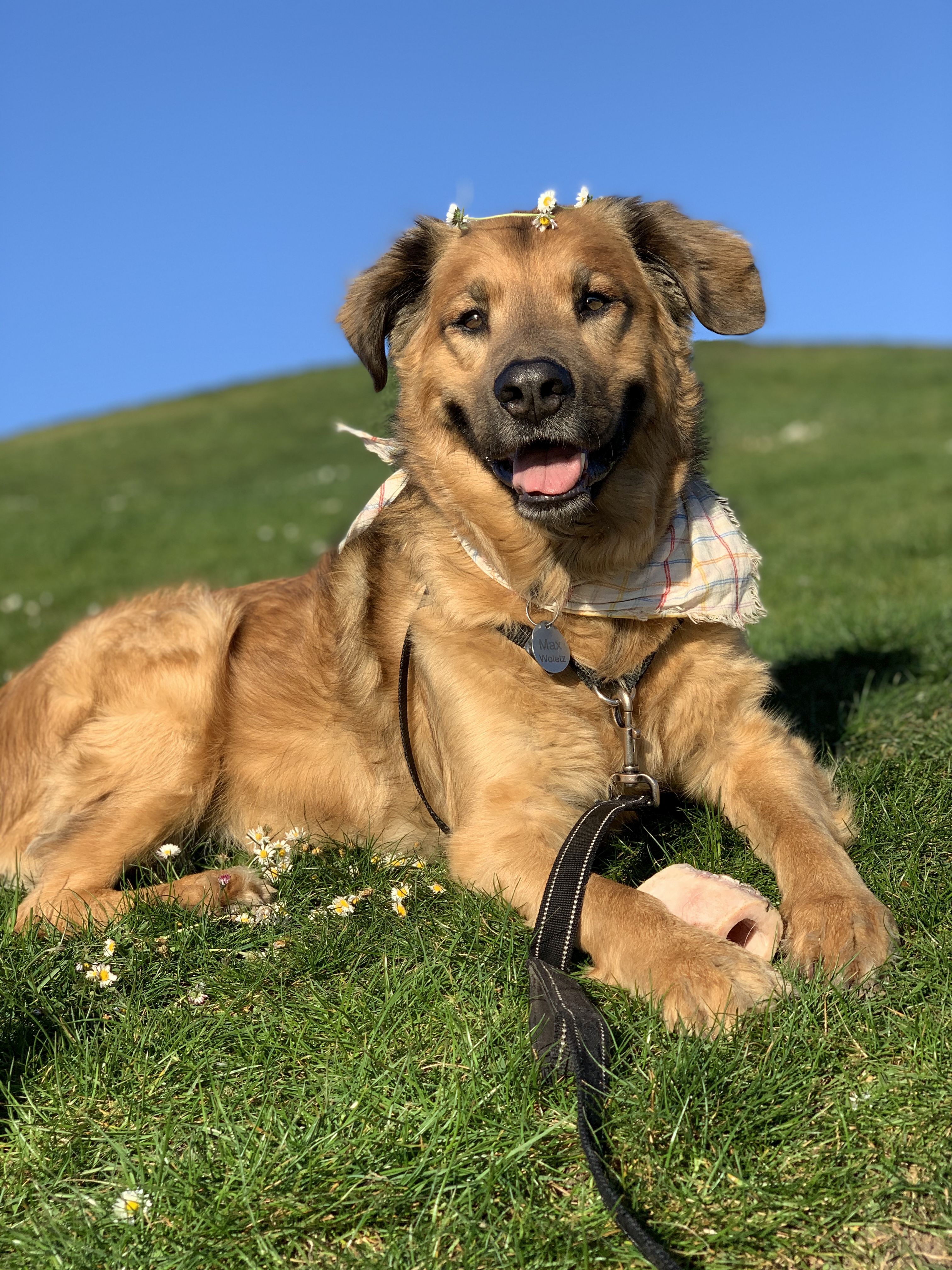 Benjamin Woletz and Riah’s dog, Max