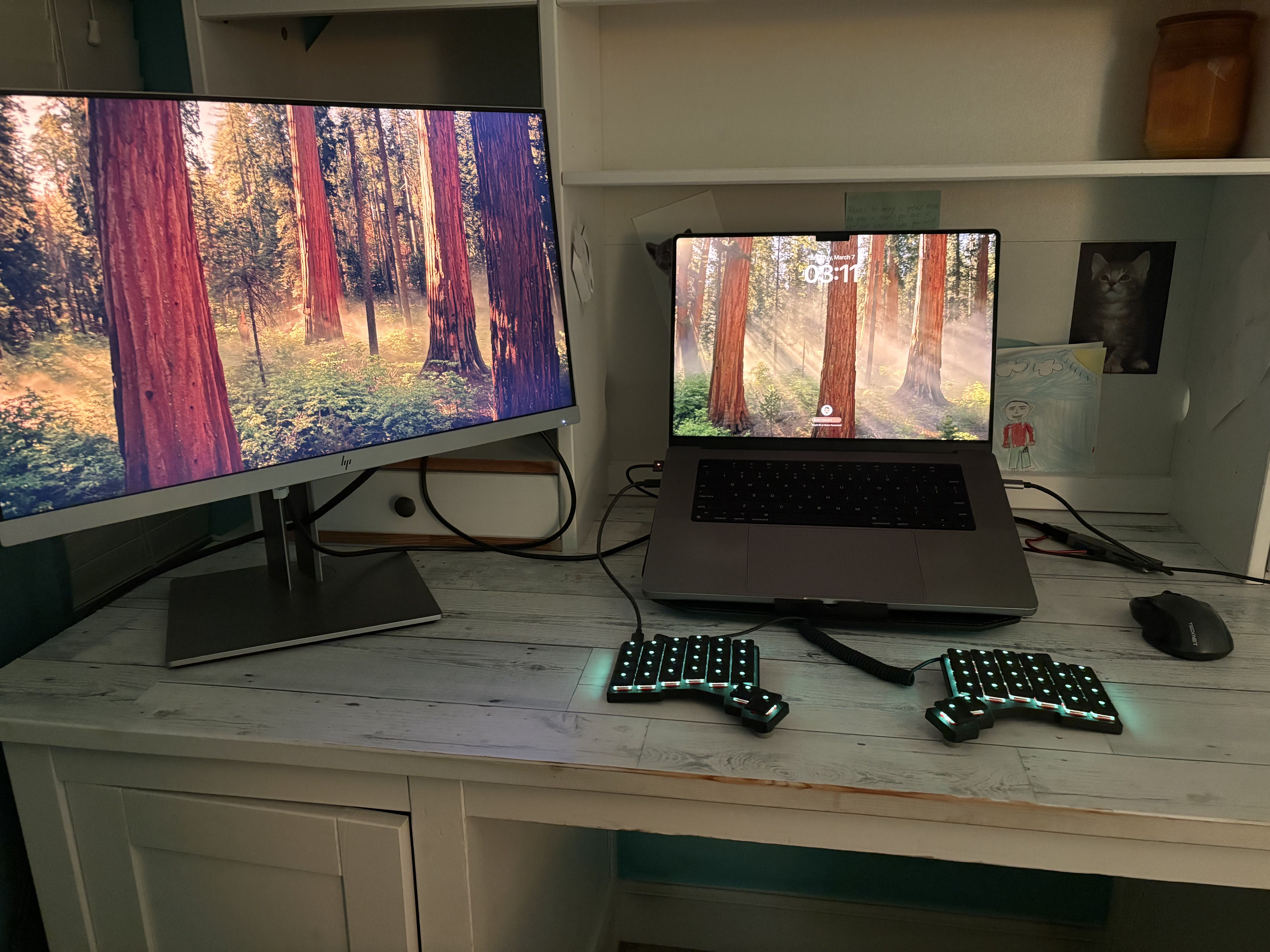 Enes Tasbasi's setup