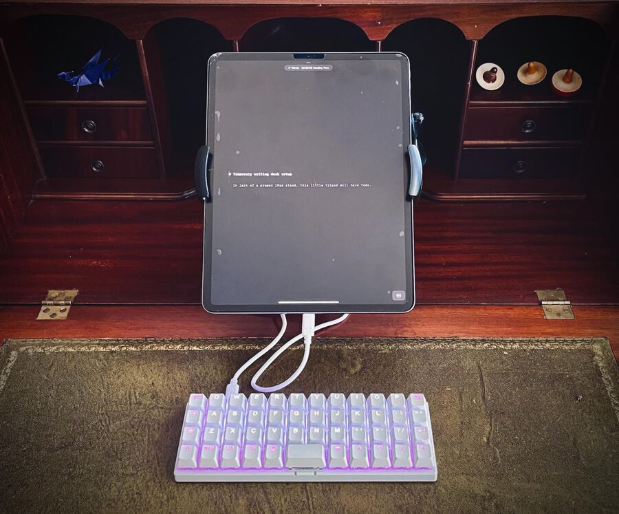 Esther Weidauer's writing setup