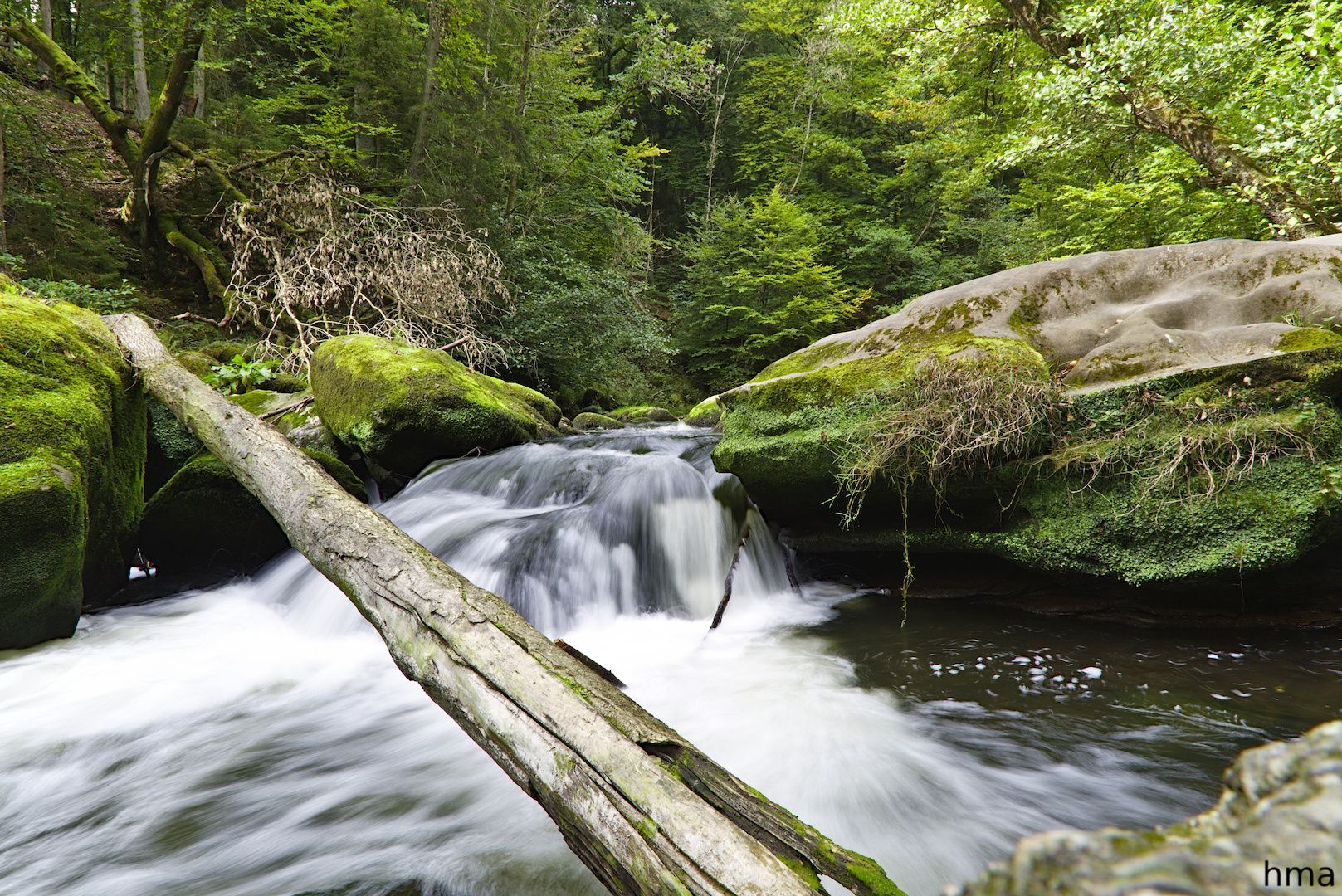 Henning Malzahn’s photo of a rushing creek in Teufelsschlucht in the Naturpark Südeifel