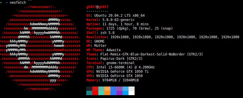 Jesuloba Egunjobi's system info