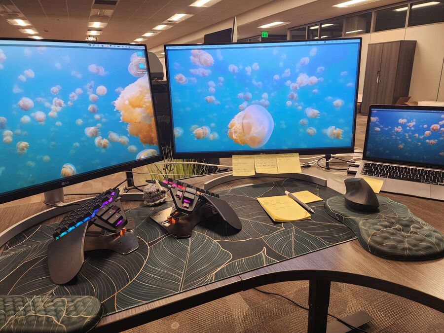 Mikayla Hageman's setup