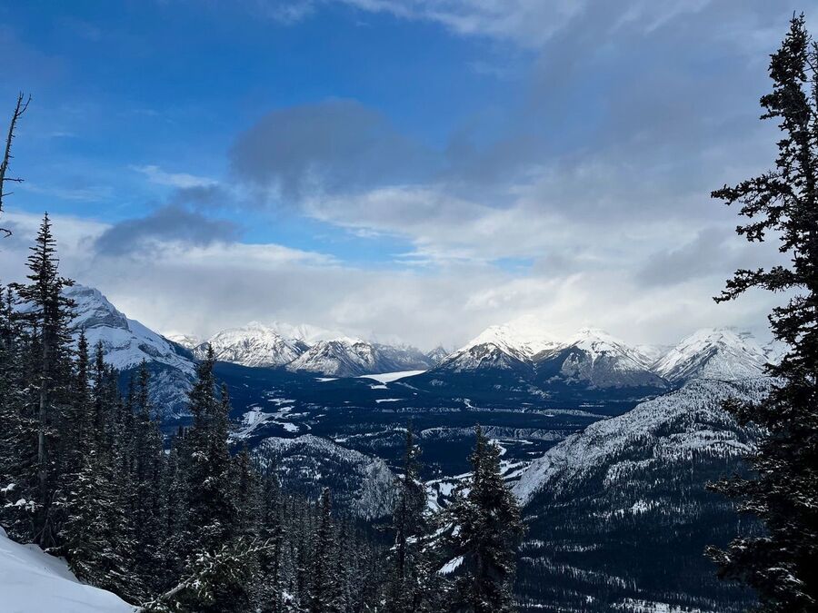 Monica Lane's photo of Cypress Mountain