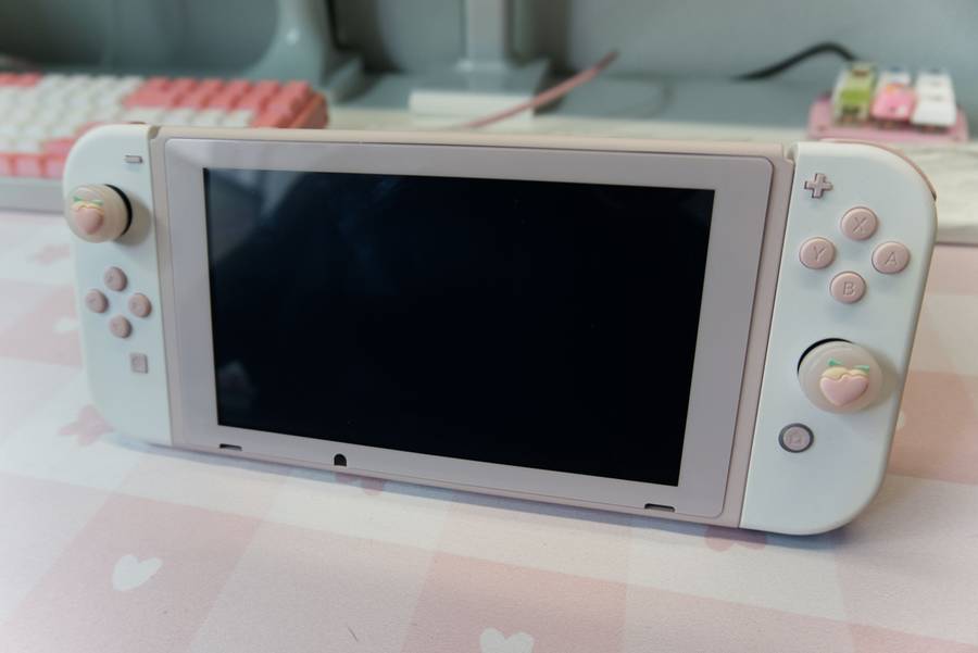 Sarah Kim's Nintendo Switch