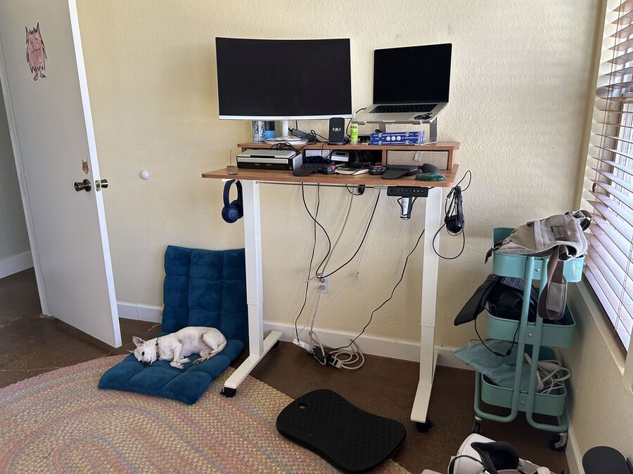 Sarah Wylie's setup with dog
