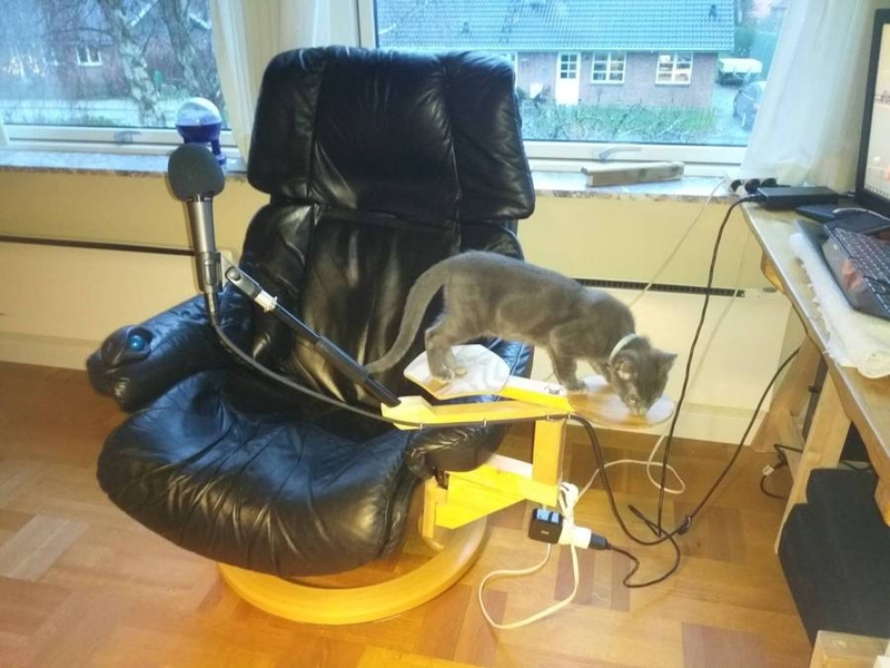 Erich Hegenberger's chair with cat