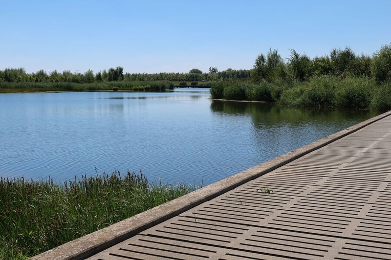 Martin Ueding's photo of National Park de Biesbosch near Dordrecht (Netherlands)