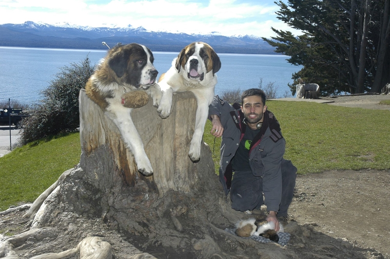 Guilherme Viotti's photography: Bariloche with dogs