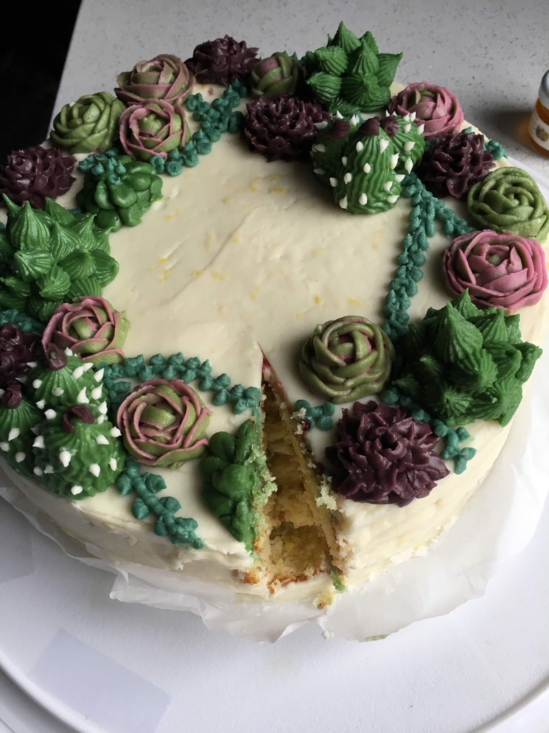 Annie Vela's baking: cake with succulent decorations