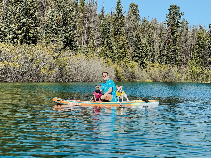 Monica Lane's photo of her husband and dogs at Jasper National Park, Canada