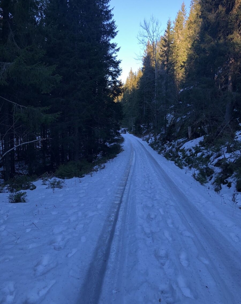 Gjermund Sivertsen's photo of a snowy road