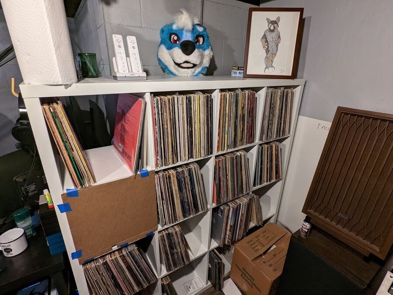 Notch Rhino's vinyl collection