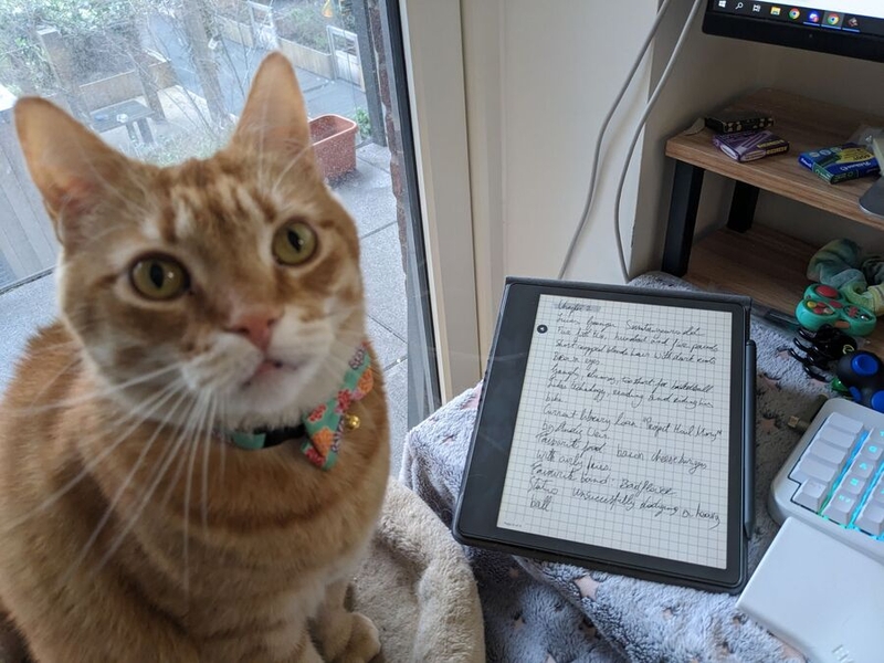 D.H. Dhaenens's cat with writing