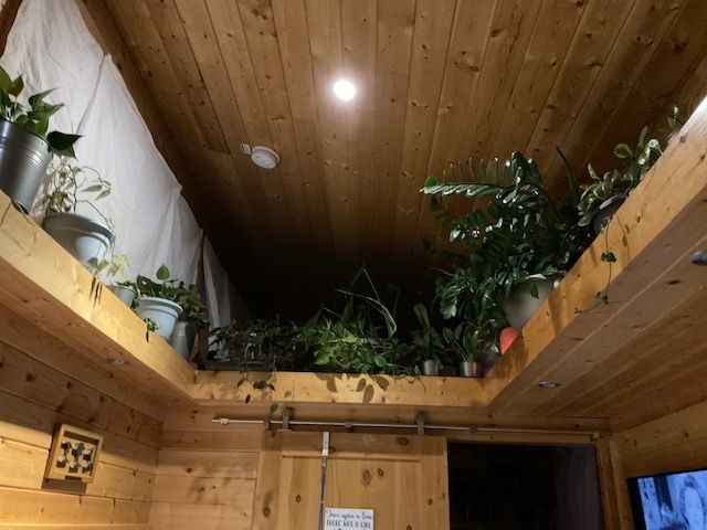 Plants in the upper part of the tiny house