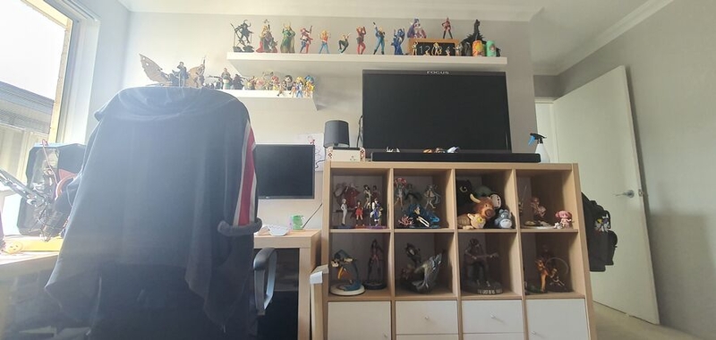 Tegan McHutchison's office, featuring an impressive anime figure collection