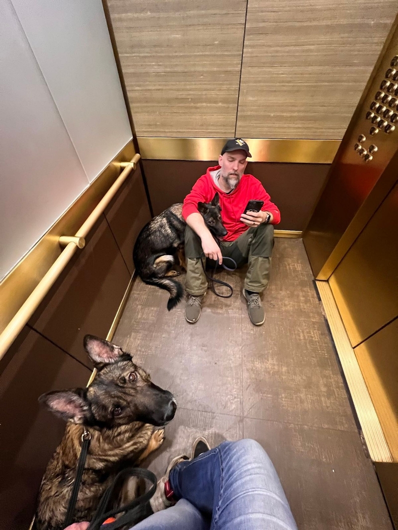 Tomas Jonsson with dogs, in an elevator