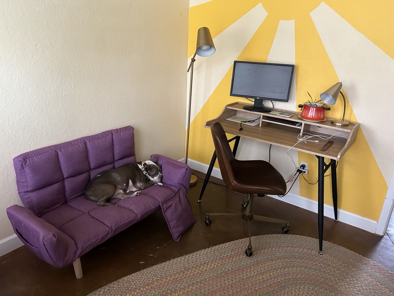 Sarah Wylie's office with her wife's desk—and a dog