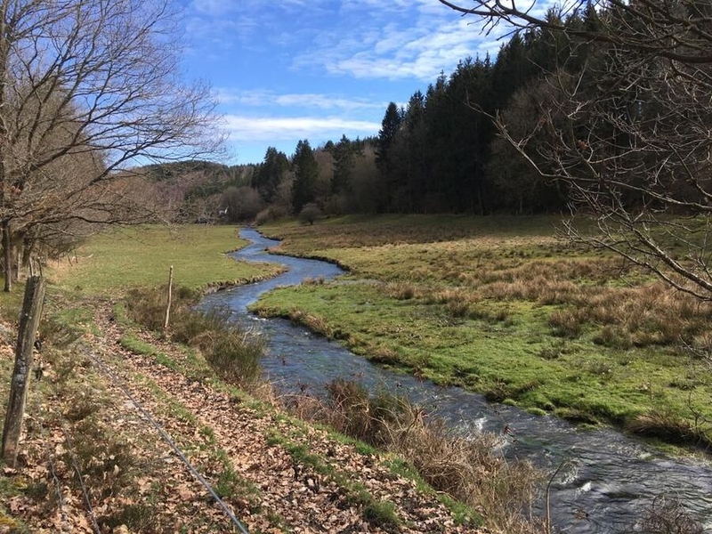 moving water in Luxembourg