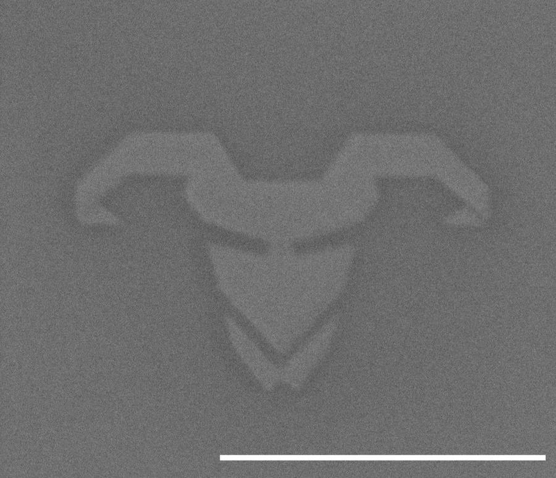 Ergodox logo made platium on silisium