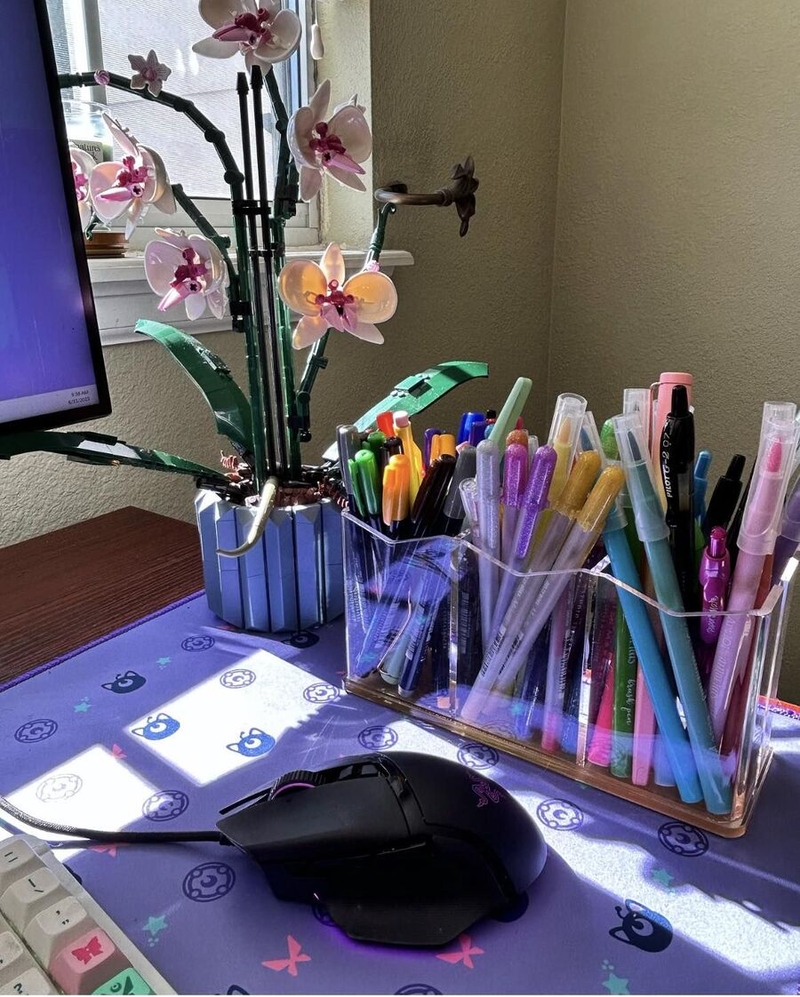 Emily Gerhard's pen collection