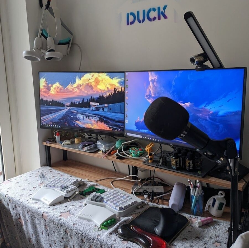 D.H. Dhaenens's setup