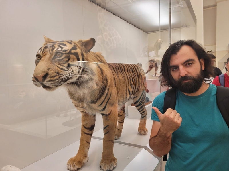 Sasoon Sarkisian's photo with a stuffed tiger in a museum case. He points one thumb at it and looks at the camera skeptically