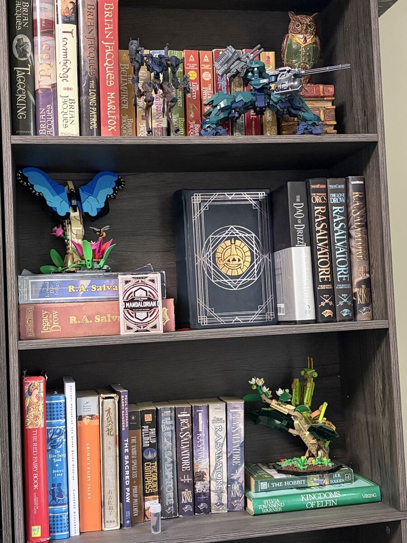 This bookcase holds examples from a fraction of DJ's hobbies DJ Picard's hobby bookcase