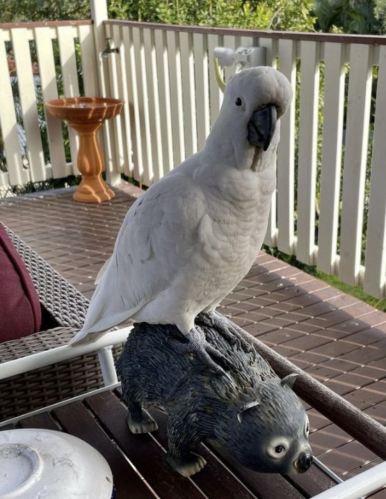 Sarah Reichelt's iron wombat with cockatoo friend